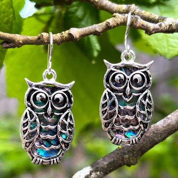 Boutique Jewelry - Silver Owl Earrings